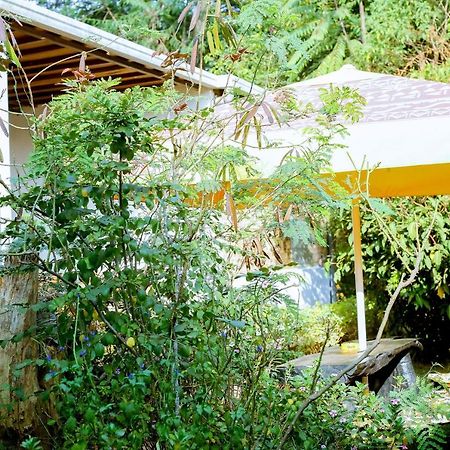 Inzozi Africa House B&B-Kimihurura キガリ エクステリア 写真